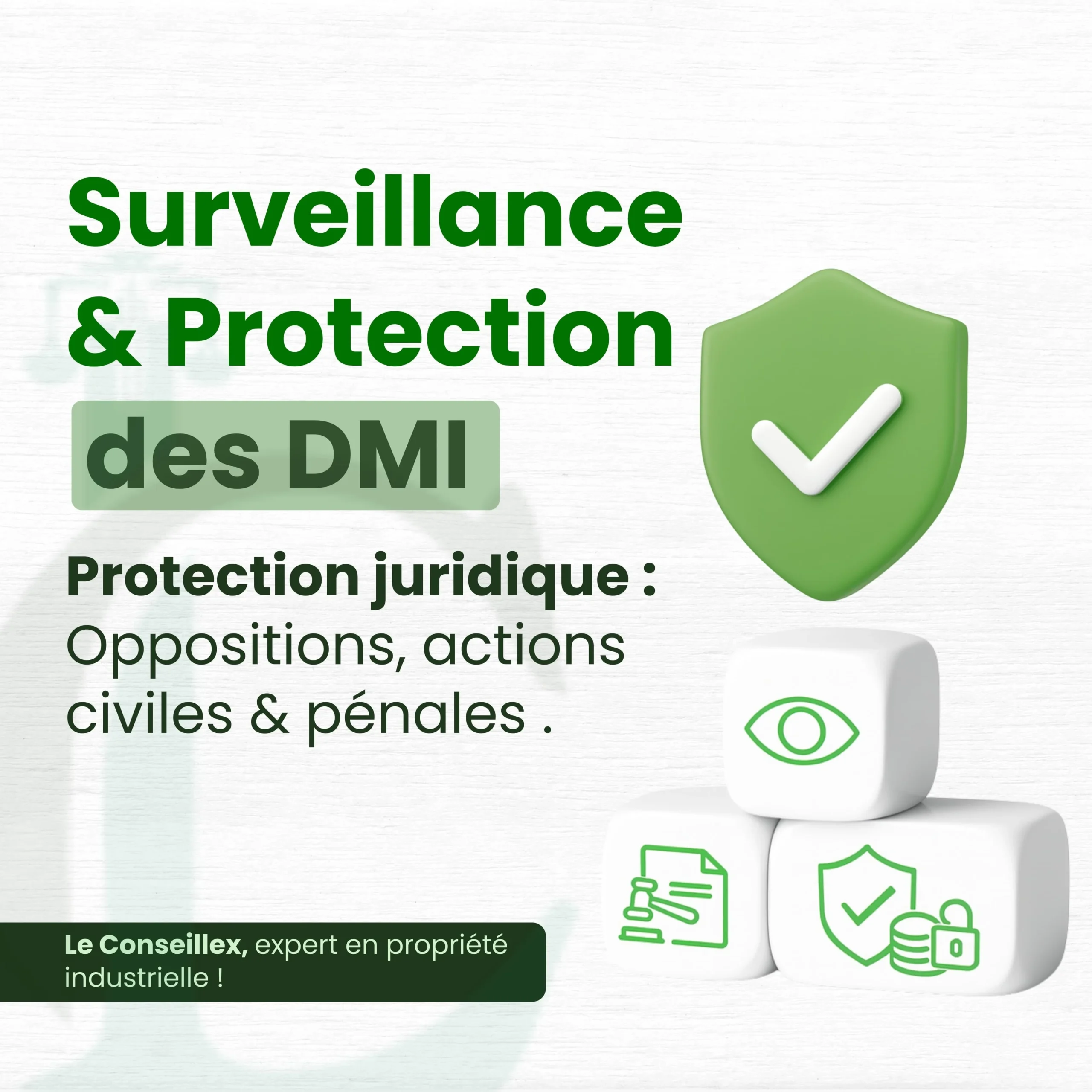 Surveillance & Protection DMI au Maroc
